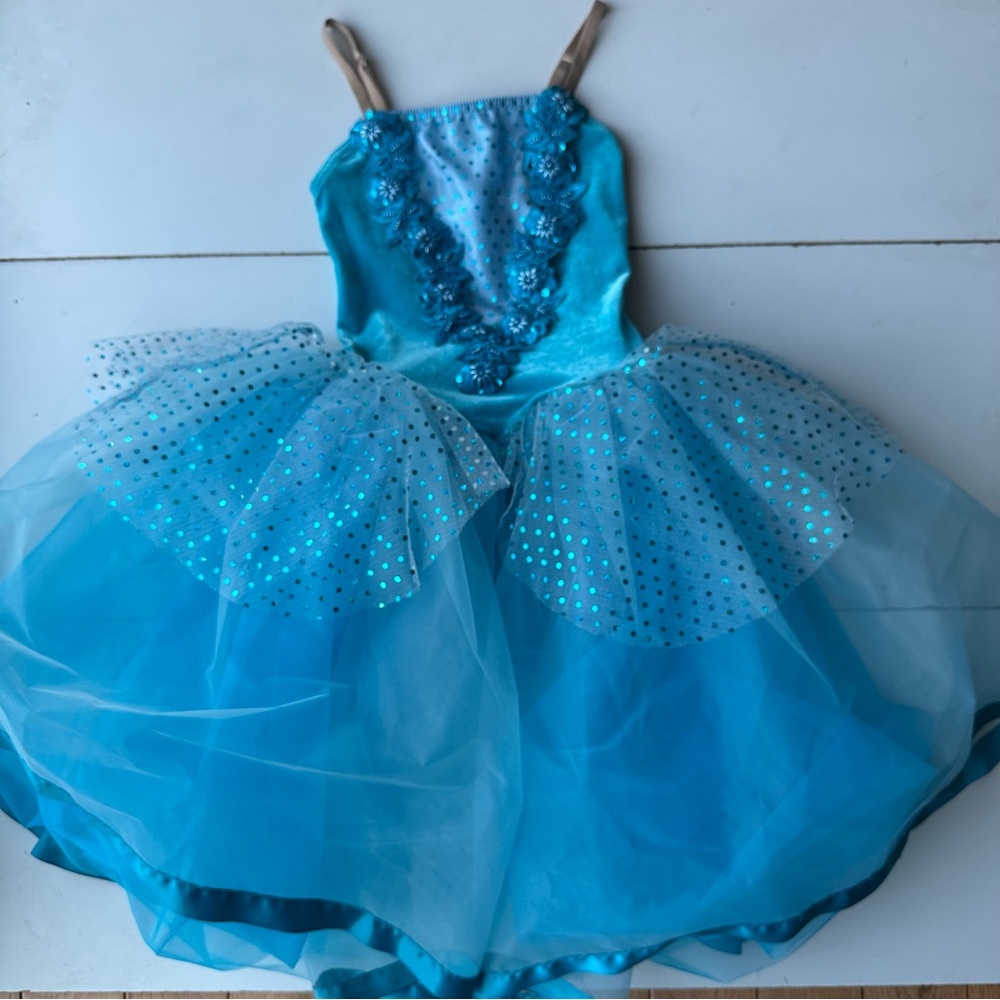 A wish come true 17548 Love Story Dance Ballerina costume velvet blue